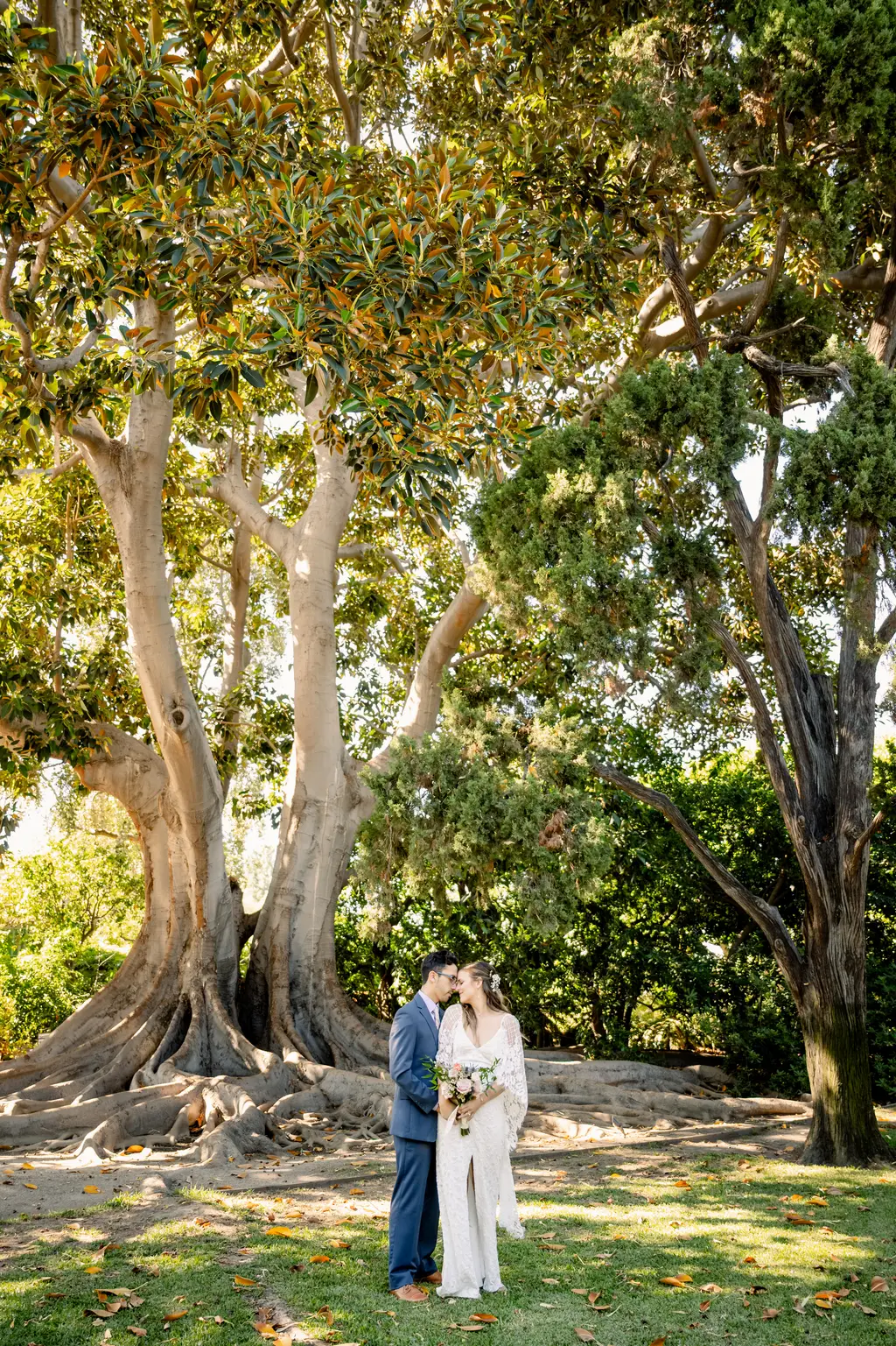 Couple kissing under large trees in a park.