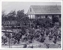 Historic farm with garden and house.