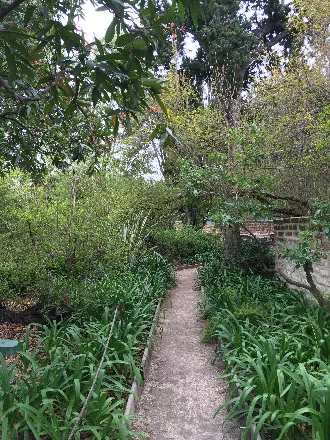 Narrow garden pathway surrounded by lush greenery