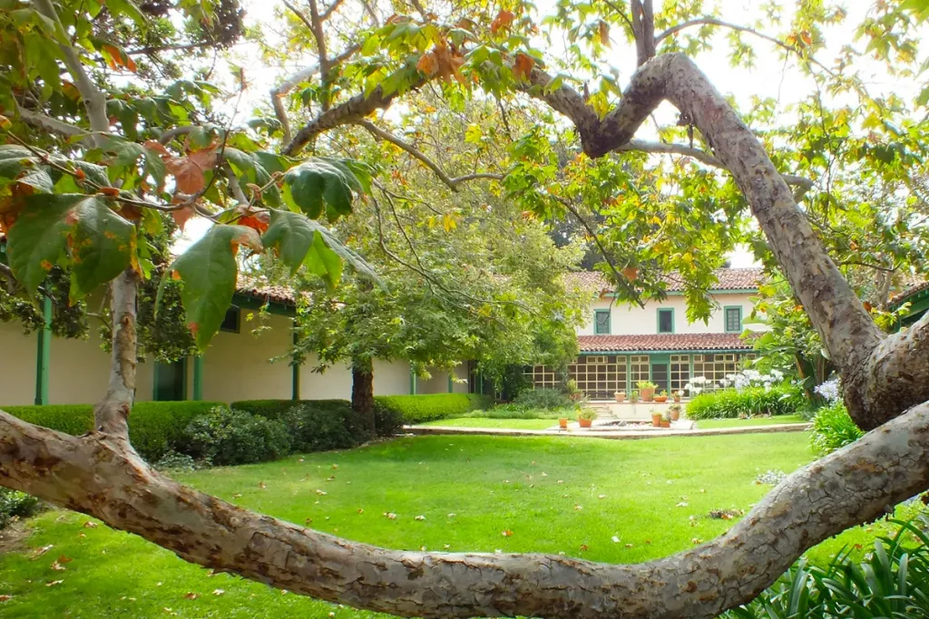 Lush garden with tree framing historic building.