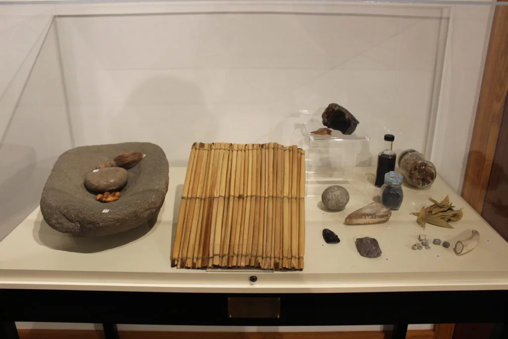 Museum display of ancient stone and natural artifacts.